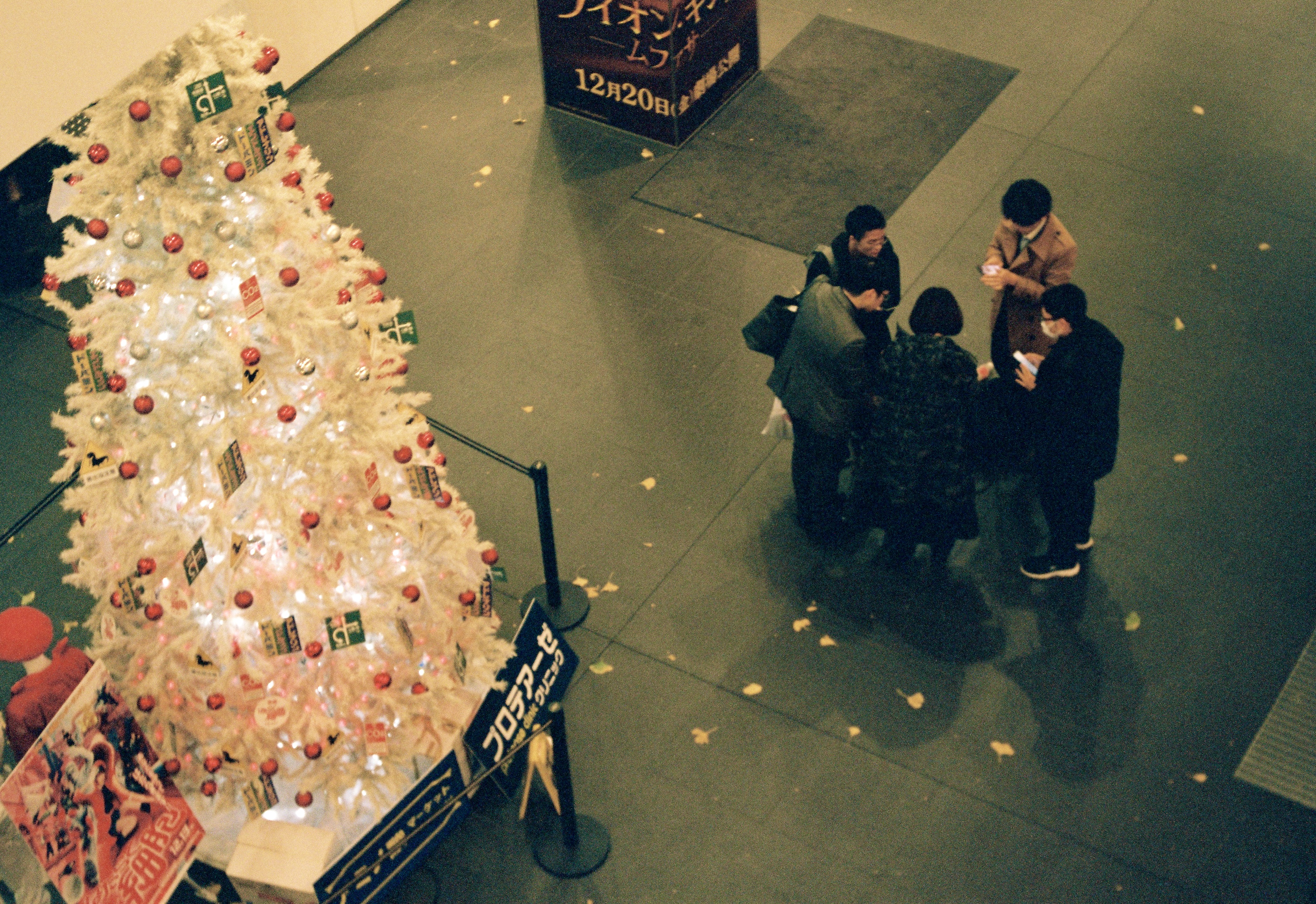Photo 11